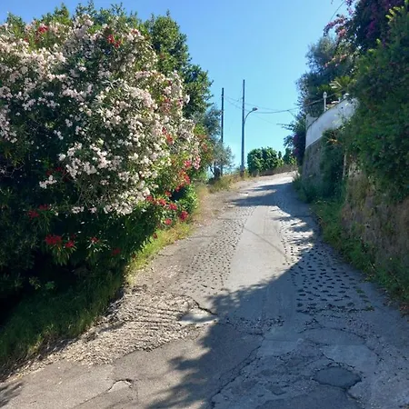 Panoramica Hébergement de vacances *